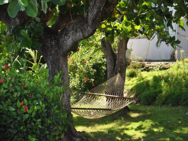 Saint Maarten Saint Martin Home 948291