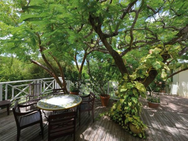Saint Maarten Saint Martin Home 948299