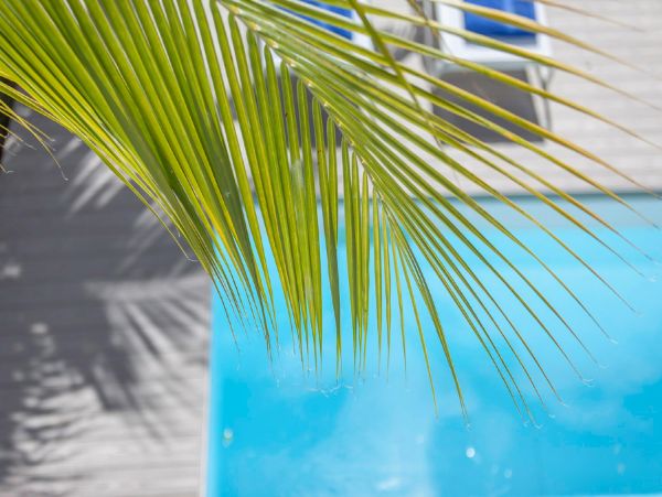 Saint Maarten Saint Martin Home 948310