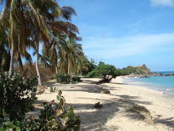 Saint Maarten Saint Martin Home 948357