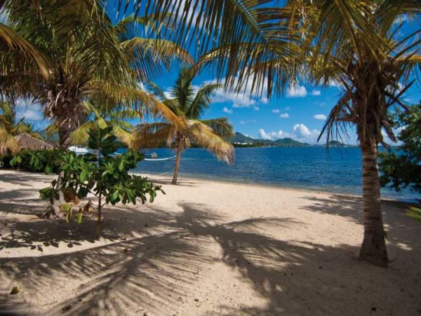 Saint Maarten Saint Martin Home 948359