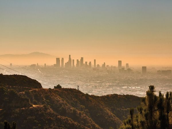 Los Angeles Home 948372