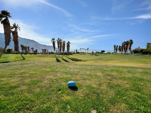 Palm Springs Home 948533