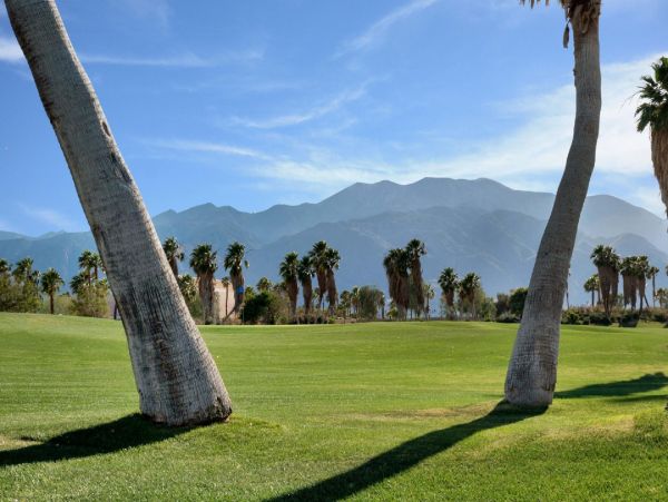 Palm Springs Home 948533