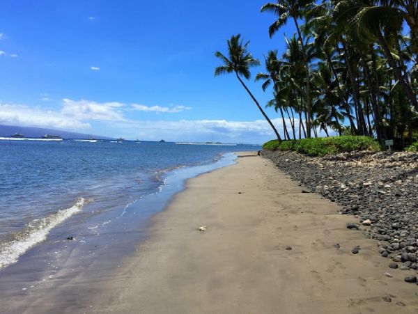 Lahaina Home 948545