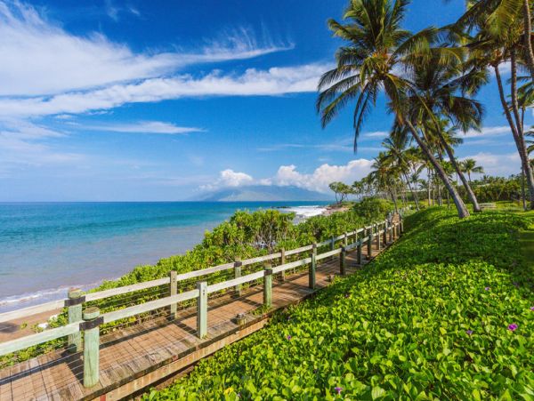 Wailea Home 948546