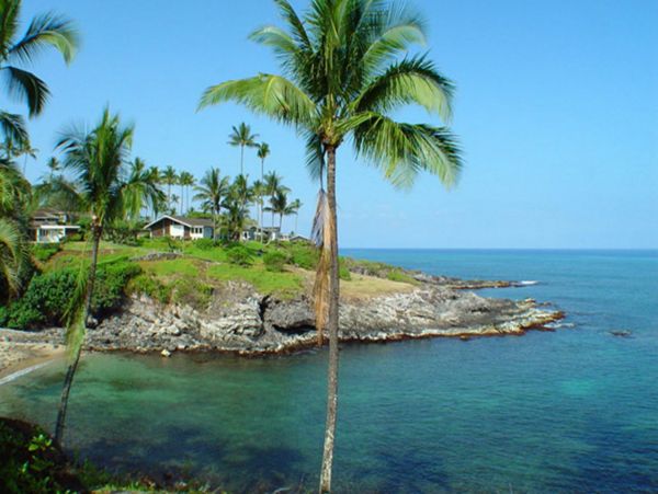 Kapalua Home 948590