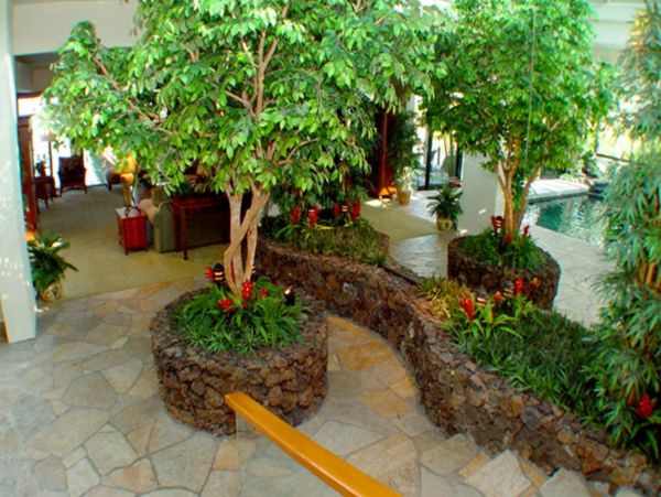 Kapalua Home 948590