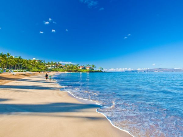 Wailea Condo 948593