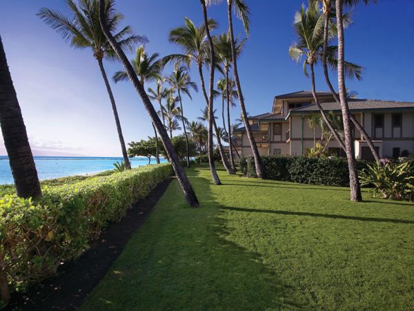 Lahaina Condo 948605
