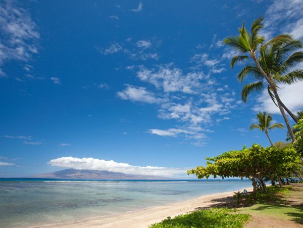 Lahaina Condo 948605
