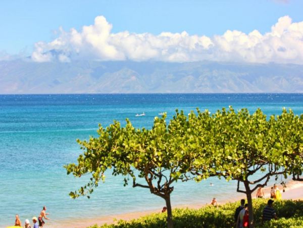 Kaanapali Condo 948609