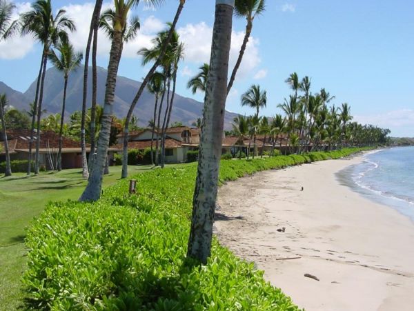 Charming Vacation Home Rental on Lahaina with Pool