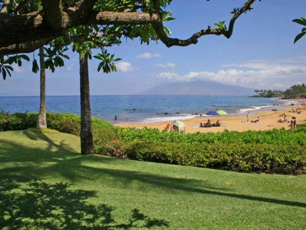 Wailea Condo 948615