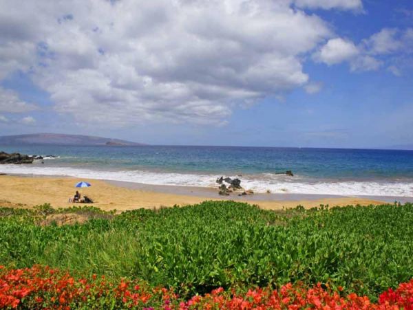 Wailea Condo 948618