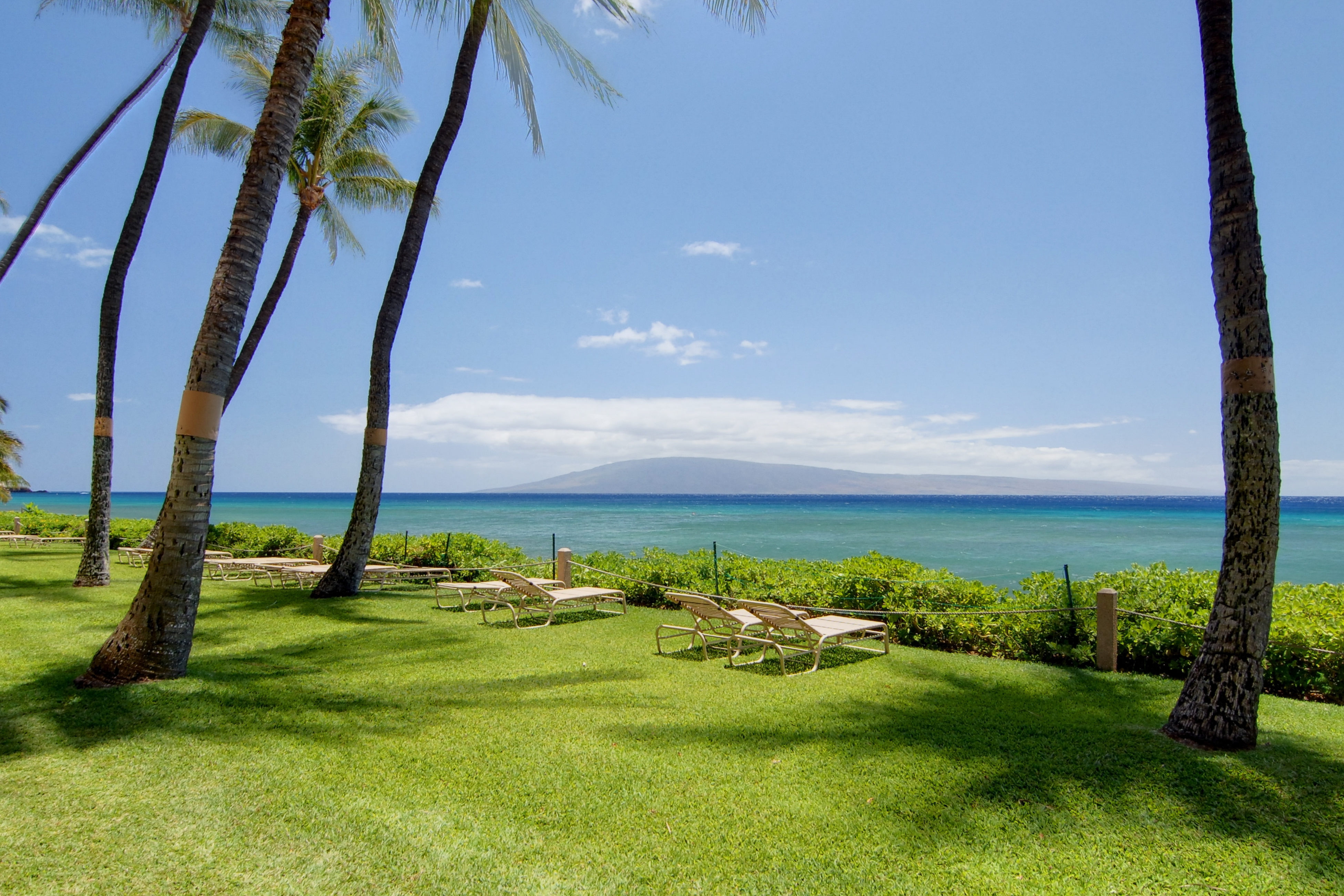 Kaanapali Condo 948621