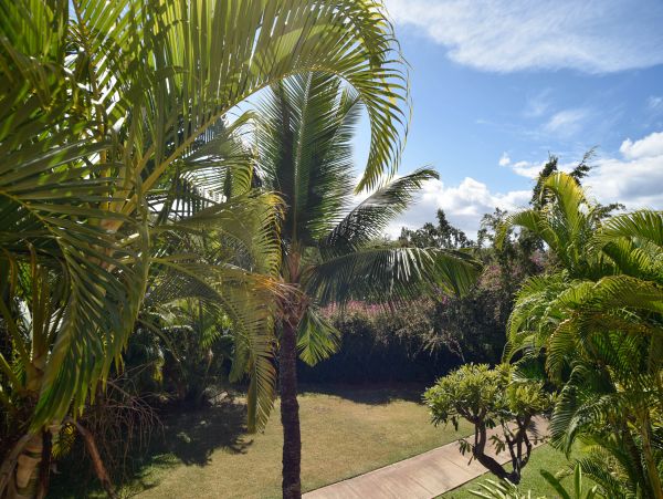 Wailea Condo 948630