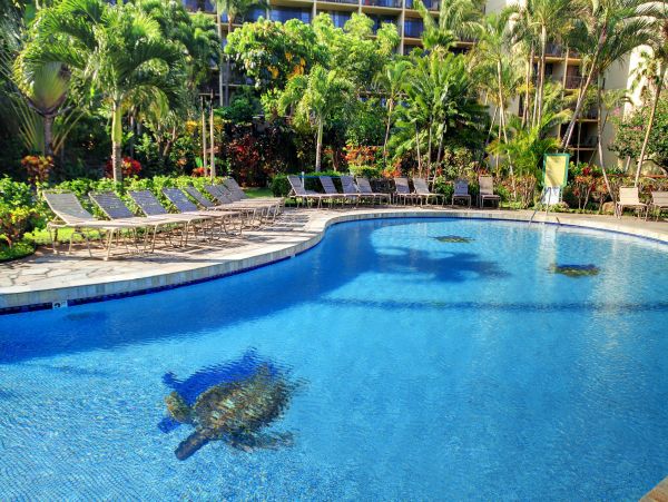 Kaanapali Condo 948633