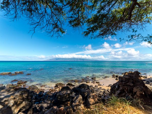 Kaanapali Condo 948634