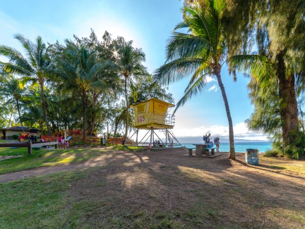 Kaanapali Condo 948634