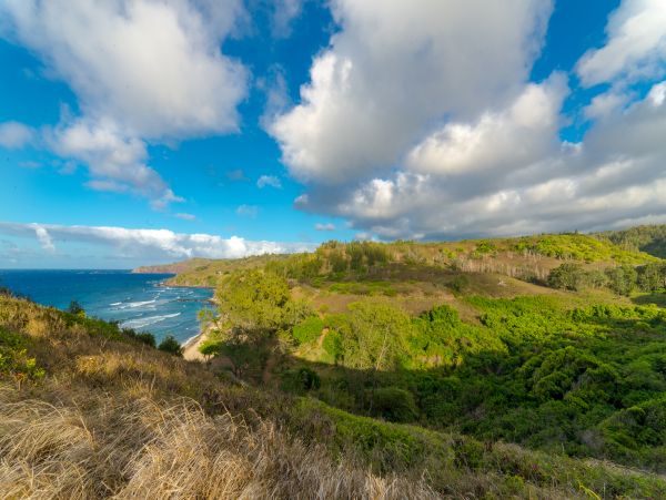 Kaanapali Condo 948634