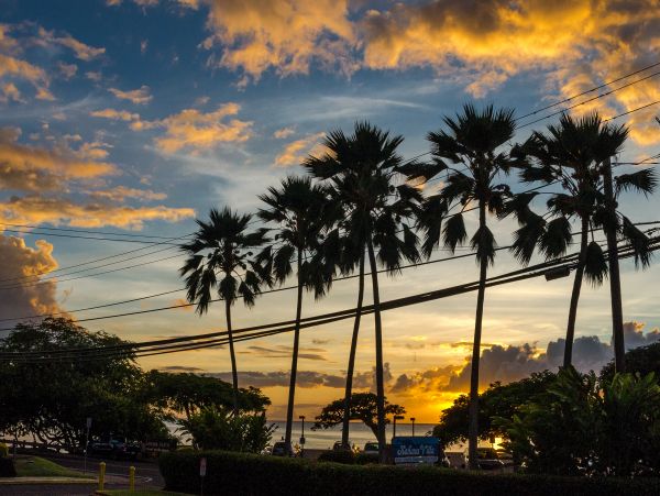Kaanapali Condo 948634
