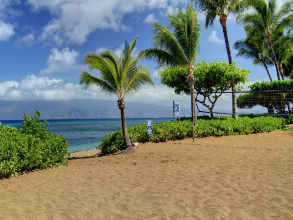 Kahana Condo 948636