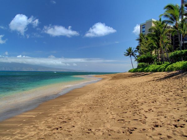 Kahana Condo 948636