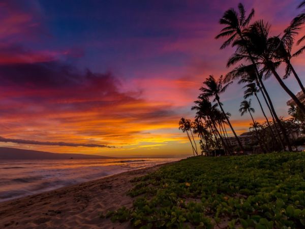 Kaanapali Oceanfront 3 Bedroom Vacation Condo with Great Amenities