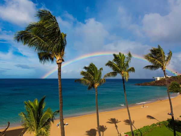 Kaanapali Oceanfront 3 Bedroom Vacation Condo with Great Amenities