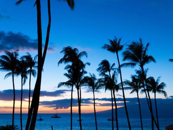 Kaanapali Oceanfront 3 Bedroom Vacation Condo with Great Amenities