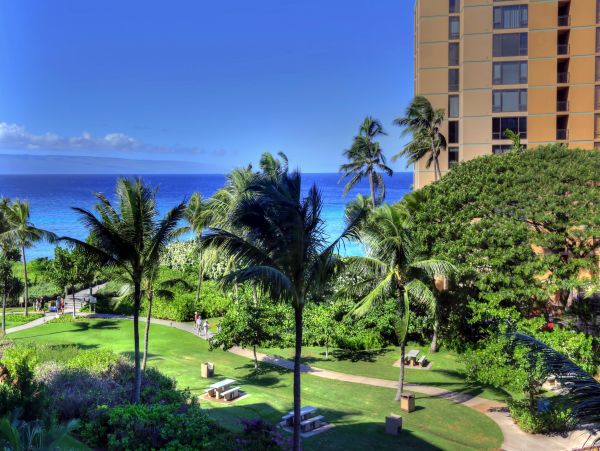 Kaanapali Condo 948639