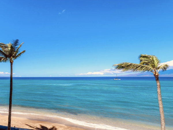 Maui Oceanfront 2 Bedroom Condo Pure Delight