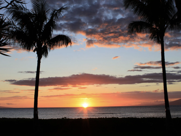 Maui Oceanfront 2 Bedroom Condo Pure Delight