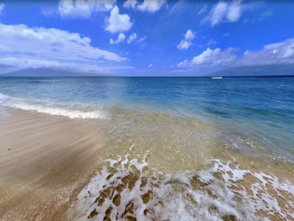 Maui Oceanfront 2 Bedroom Condo Pure Delight