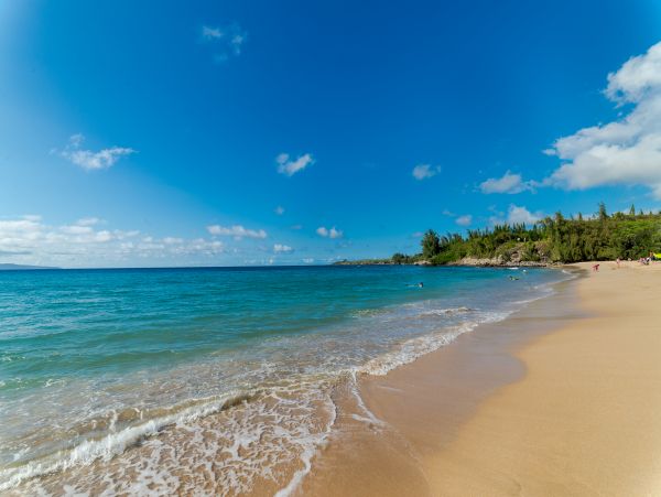 Kahana Condo 948643
