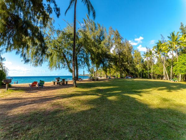 Kahana Condo 948643