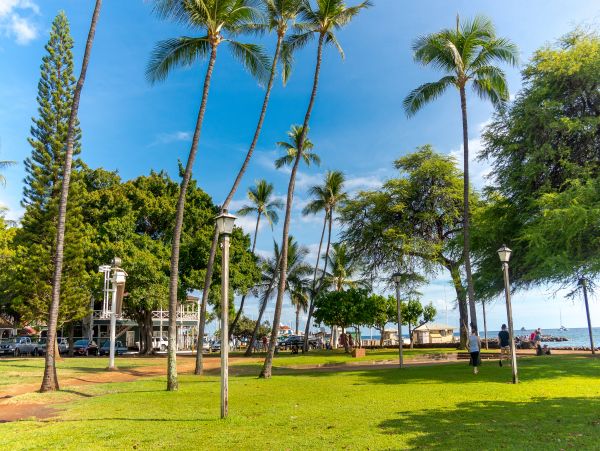 Kahana Condo 948643