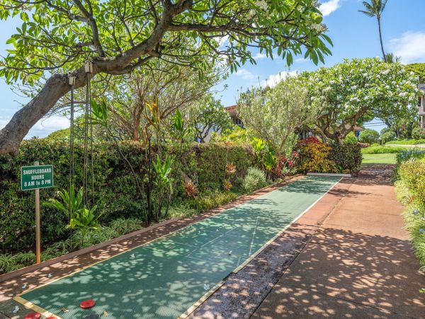 Luxury Kaanapali Maui Vacation Rental  Ocean View 2-Bedroom Condo