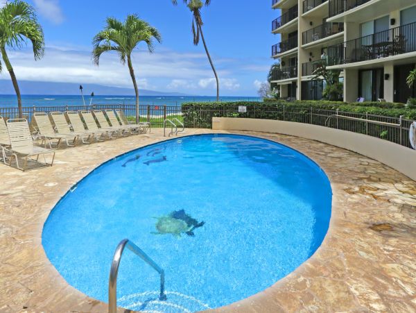 Kahana Condo 948647