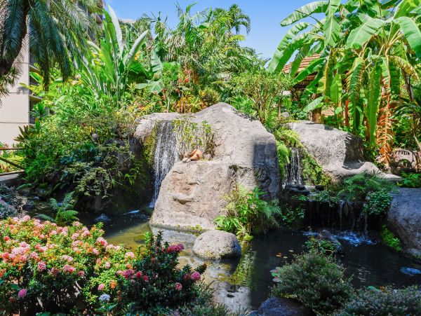 Kaanapali Condo 948650