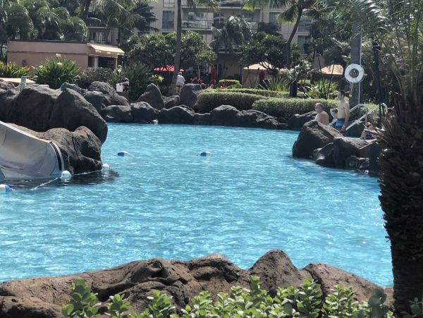 Kaanapali Condo 948654