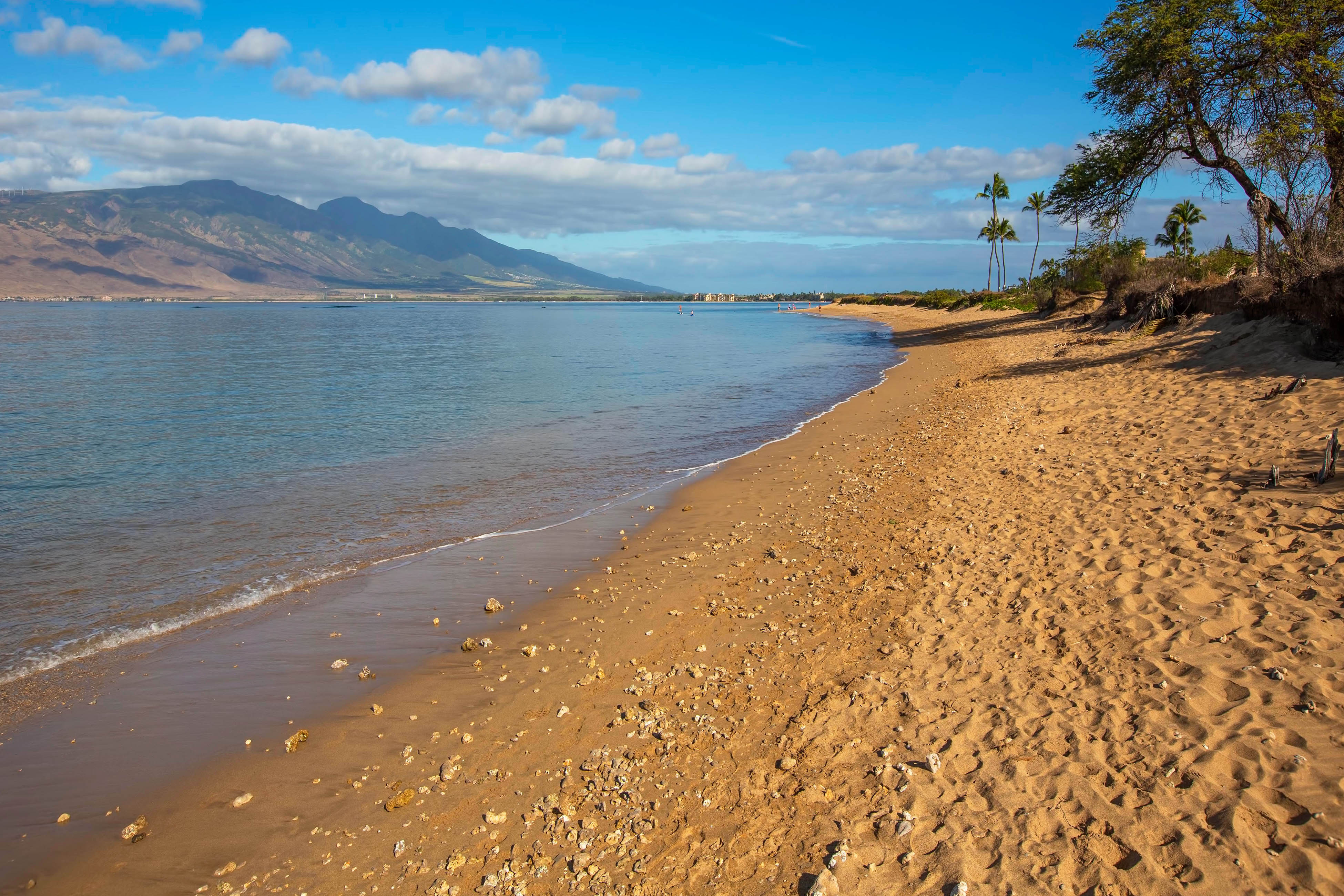 Kihei Condo 948657