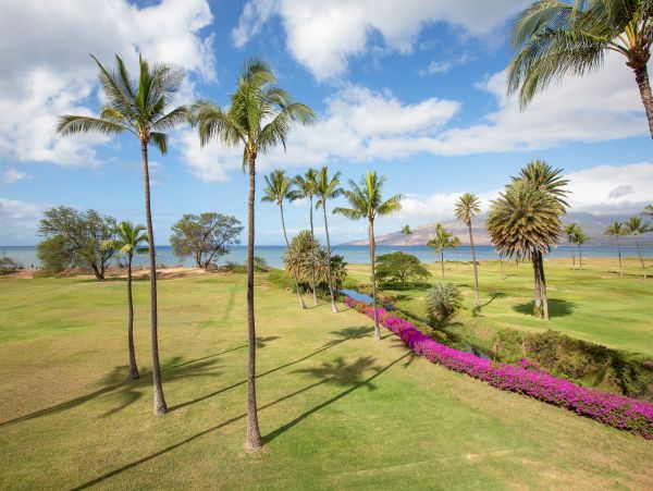 Kihei Condo 948657