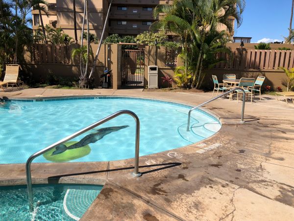 Kaanapali Condo 948658