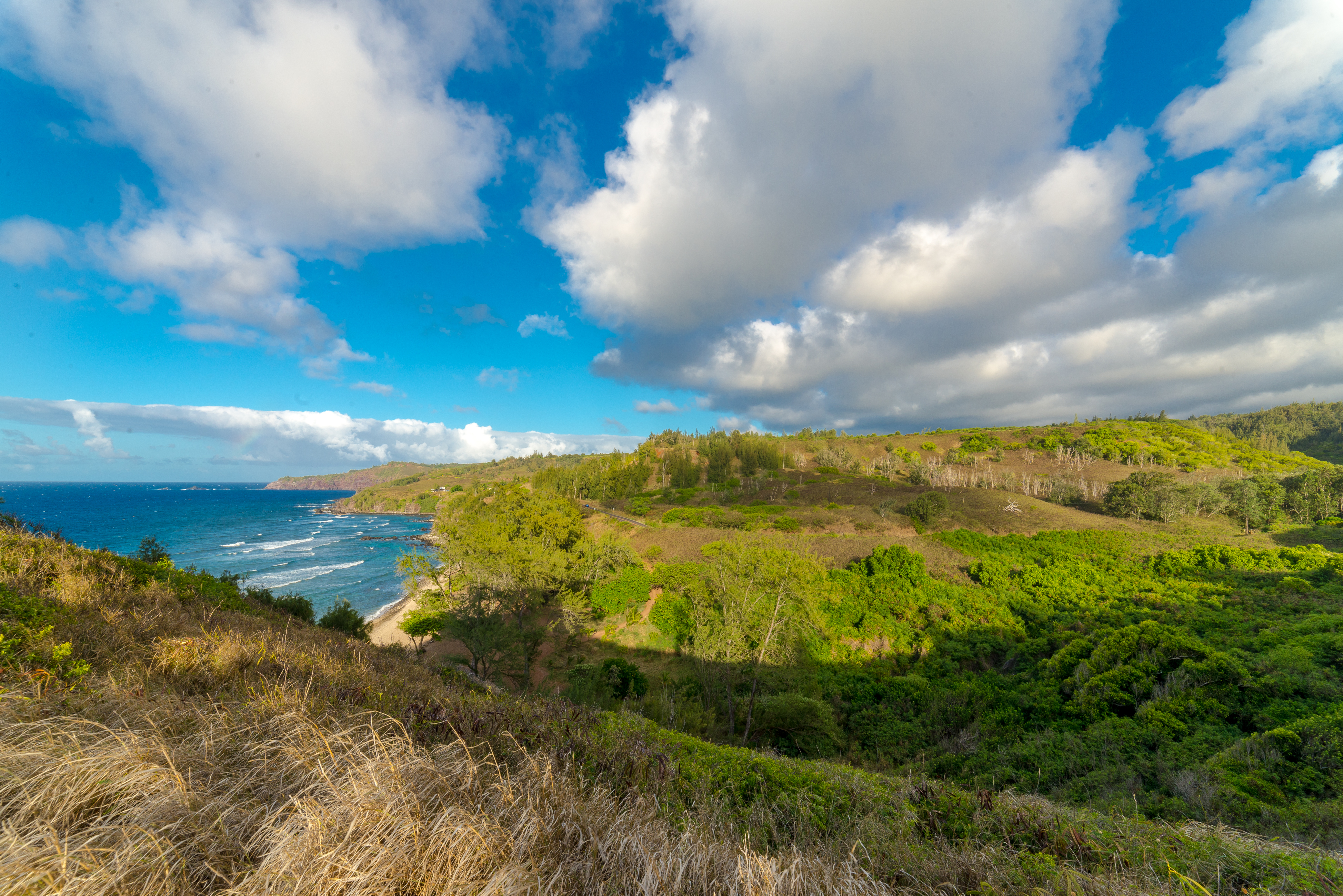 Kaanapali Condo 948662