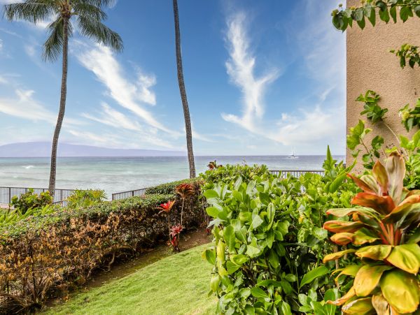 Kahana Condo 948664