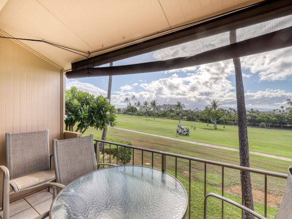 Kaanapali Condo 948666