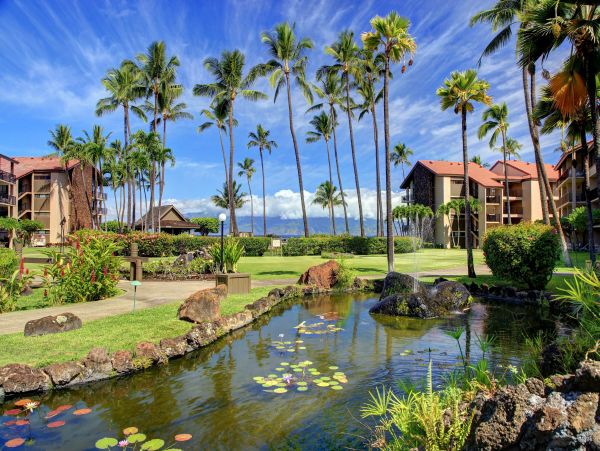 Studio Beachside Maui Rental NEW ARRIVAL.