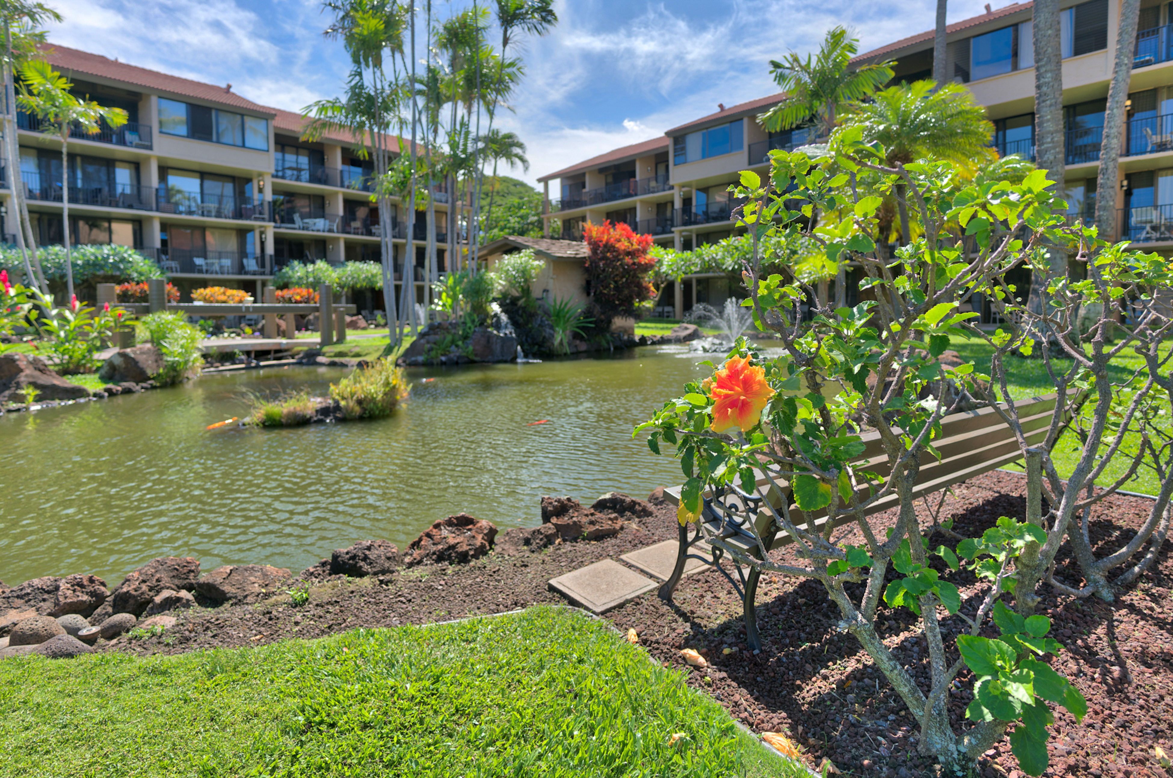 Studio Beachside Maui Rental NEW ARRIVAL.